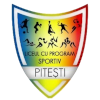 Logo LPS Viitorul Pitesti U19