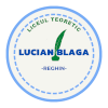 Logo LT Lucian Blaga Reghin U19
