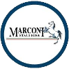 Logo Marconi Stallions U20