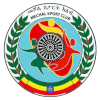 Logo Mechal FC (W)