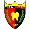 Logo Mechanik Bobolice
