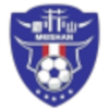 Logo Meishan Team