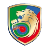 Logo Miedz Legnica II