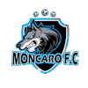 Logo Moncaro