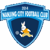 Logo Nanjing City