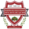 Logo Nekemte Ketema