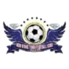 Logo New Stone Town