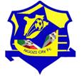 Logo Ngozi City FC