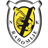 Logo NK Radomlje U19