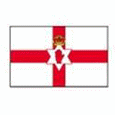 Logo U19 Bắc Ireland (Nữ)