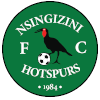 Logo Nsingizini Hotspurs