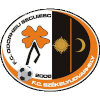 Logo Odorheiu Secuiesc U19