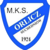 Logo Orlicz Suchedniow