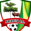 Logo Pajapita FC