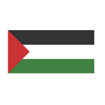 Logo Palestine Beach Soccer