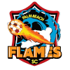 Logo Palm Beach Flames