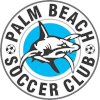 Logo Palm Beach SC B