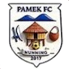 Logo Pamek