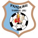 Logo Pandurii Targu-Jiu