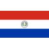 Logo Paraguay