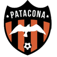 Logo Patacona