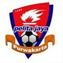 Logo Pelita Jaya