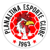 Logo Planaltina (Youth)