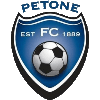 Logo Powerex Petone (W)
