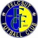 Logo Puskas Akademia Felcsut U21