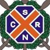 Logo Regatas de San Nicolas