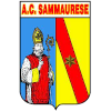 Logo Sammaurese