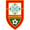 Logo Sanvicenteno