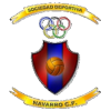 Logo SD Navarro CF