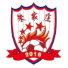 Logo Shandong Zhujiazhuang