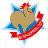 Logo Shanghai Shenxin