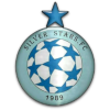 Logo Silver Stars