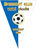 Logo SK Velke Zaluzie