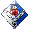 Logo Slavicin