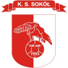Logo Sokol Bozepole Wielkie