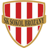 Logo Sokol Brozany