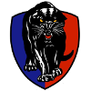Logo South Adelaide Reserves