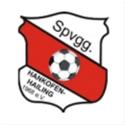 Logo SpVgg Hankofen-Hailing