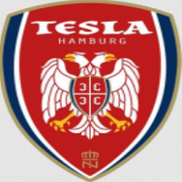 Logo SSG Nikola Tesla