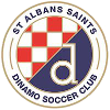 Logo St. Albans Saints U21