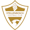 Logo Stellenbosch FC Reserves