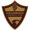 Logo Stellenbosch FC (W)