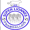 Logo Super Lionnes (W)