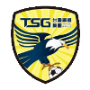 Logo Tainan City Blue
