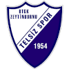 Logo Telsizspor (W)