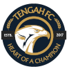 Logo Tengah FC